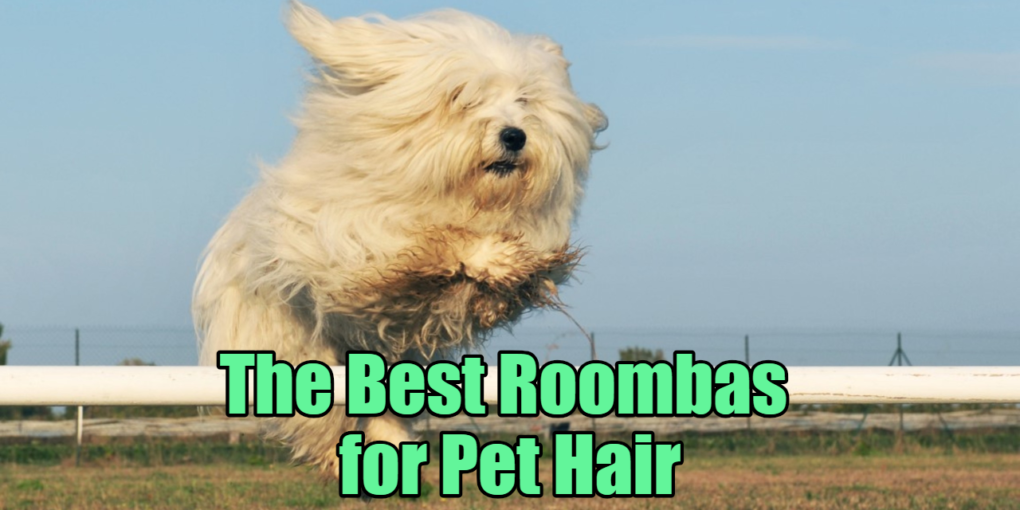 roomba 690 dog hair