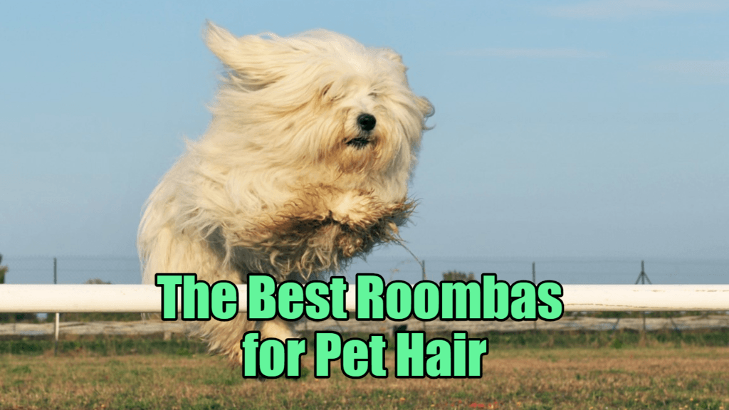 the best roomba for pet hair