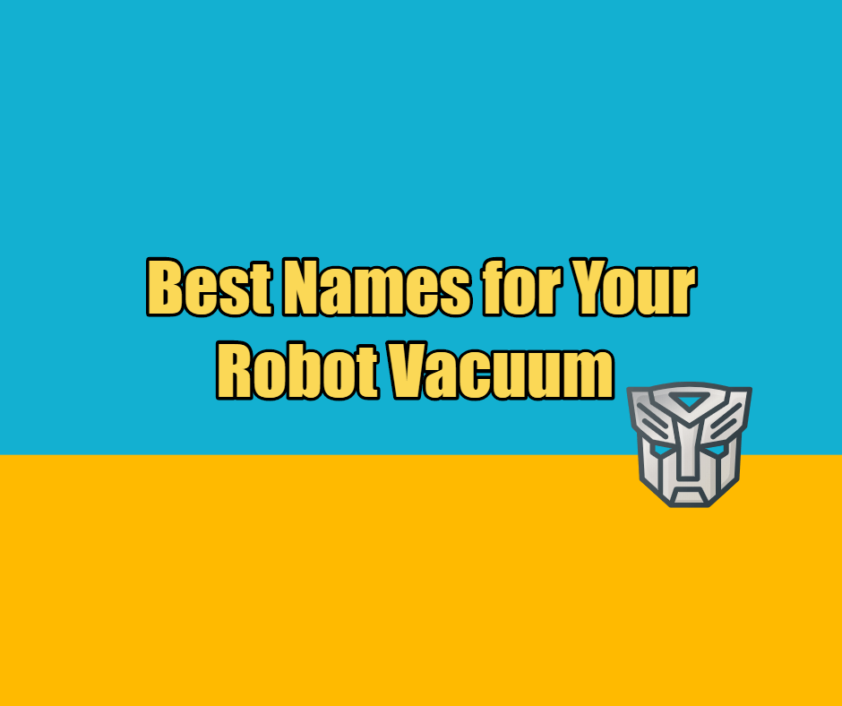 Best Names for Your Roomba